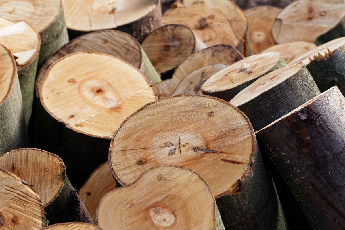 What is Modal Fabric and How is it Made? - Makenstitch