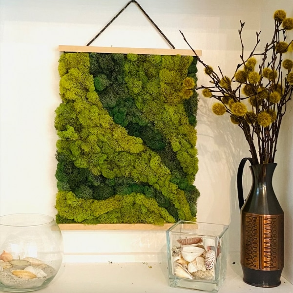 https://makenstitch.com/wp-content/uploads/05-Moss-Art-by-Numbers-Kit-Craft-Kits-for-Adults.jpg