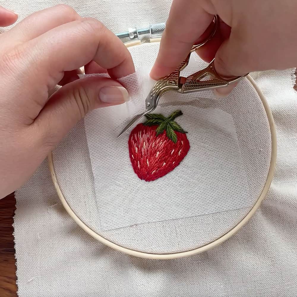 Fruit - Peel Stick and Stitch Embroidery Pattern
