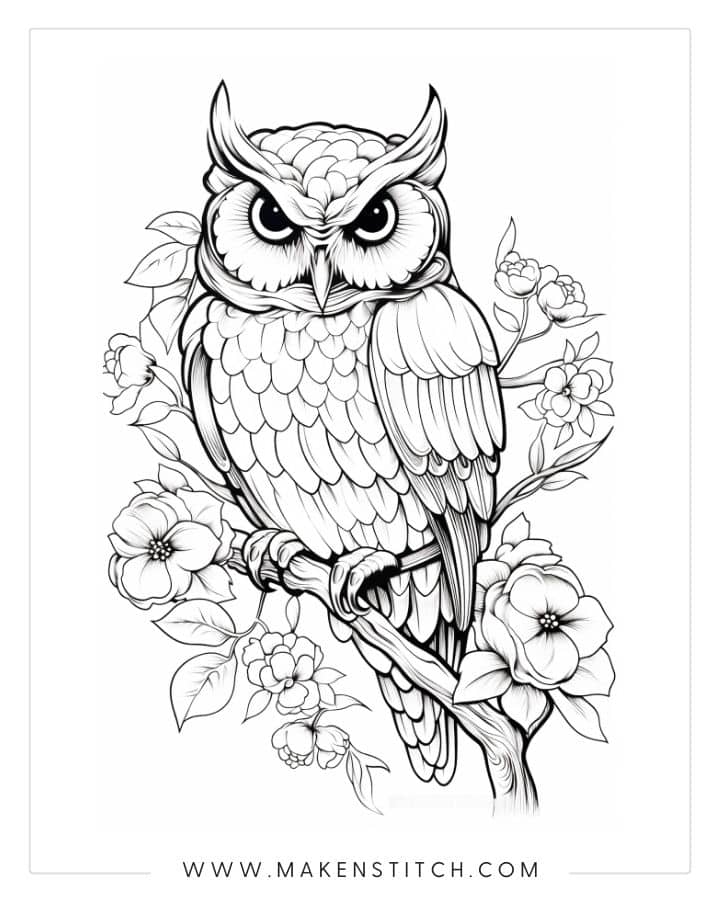 Beautiful Owls Coloring Book: An Adult Coloring Book with Super Cute, Fun,  Easy and Relaxing Owls and Amazing Mandala Pattern Designs (Coloring Book  (Paperback)
