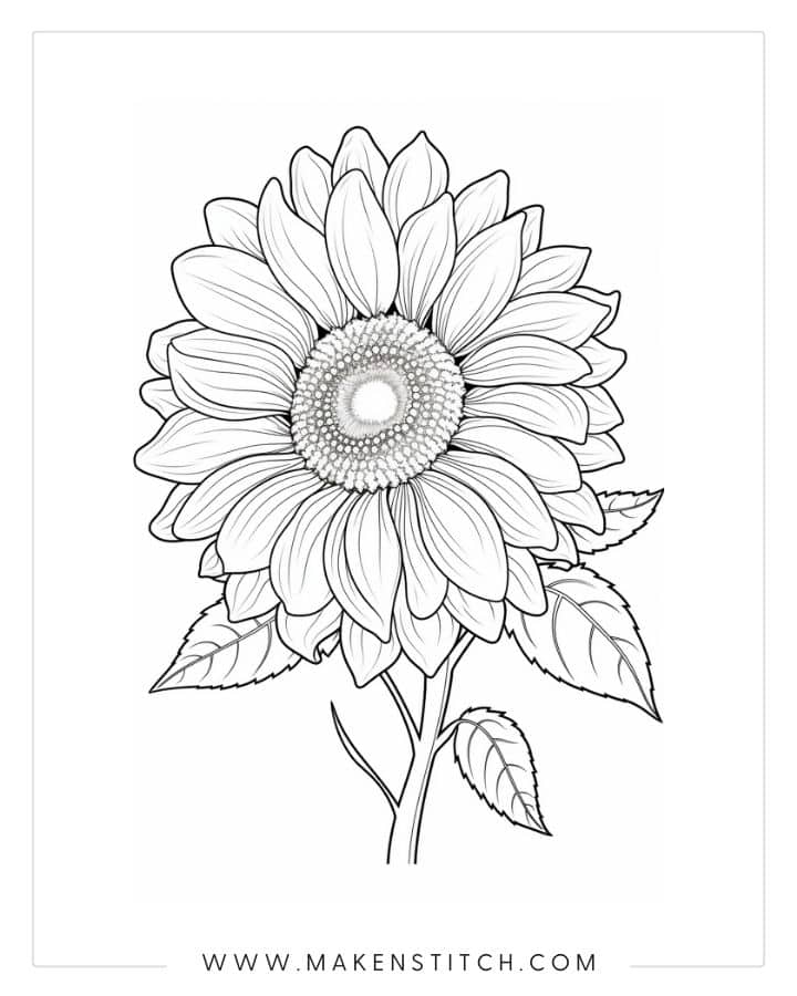 Flower Coloring Pages for Kids and Adults (Free Printables