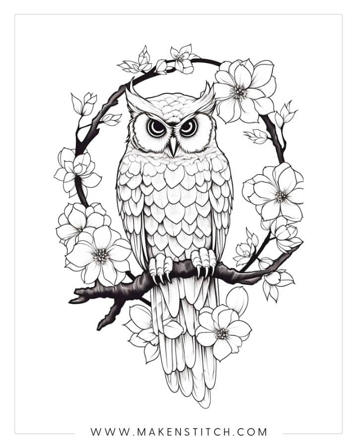 Large Print OWLS PDF Coloring Book For Beginners, Seniors or Visually  Impaired