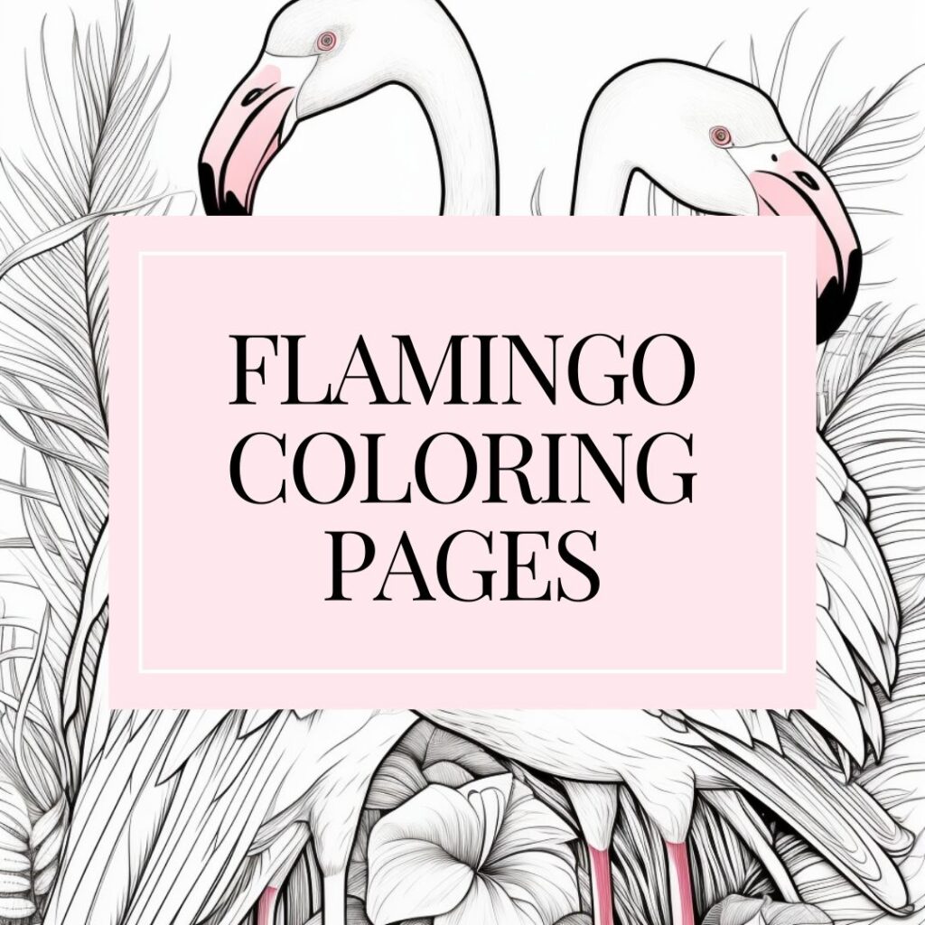 Fantastic Flamingo Coloring Book For Kids Ages 4-8: Easy And Fun Coloring  Page For Toddlers Kids Ages 2-4, 4-8, Perfect Gift For Cute Girls Who Loves  Flamingo - Mahleen Press - 9781671971325
